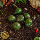 Aguacate Hass orgánico (1 Pza)