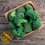 Brocoli orgánico (1pza)