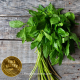 Epasote orgánico (1 manojo)