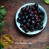 Capulin Orgánico, 180g