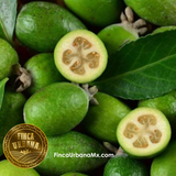 Feijoa Orgánico (250g)