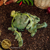 Brócoli goliat heirloom. Orgánico. (1 pieza)