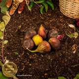 Higo orgánico (450 g)