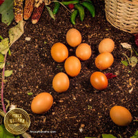 Huevo rojo de gallina orgánico (los camperos) (1 pza)