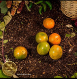 Mandarina orgánica (500g)