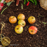 Manzana gala orgánica (500g)