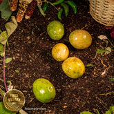 Maracuyá orgánica (Pza)