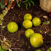 Naranja orgánica (500g)