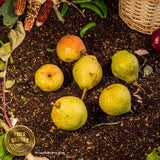 Pera verde orgánica (250g)