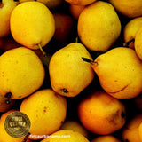 Pera amarilla orgánica (250g)