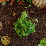 Perejil orgánico (1 manojo)