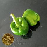 Pimiento verde orgánico (1pza)