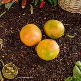 Toronja dorada por dentro orgánica 1pza