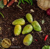 Tuna Verde. Orgánico Participativo. (1 pza)