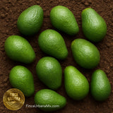 Aguacate Fuerte Orgánico, 1 Pza