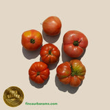 Jitomate riñón heirloom orgánico ( pza)