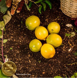 Limón eureka amarillo orgánico (1 Pza)