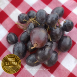 Uva negra orgánica 250g