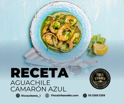 Aguachile de camarón azul