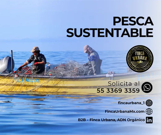 Pesca sustentable