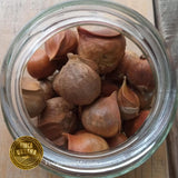 Ajo Japonés Orgánico, 100g Finca