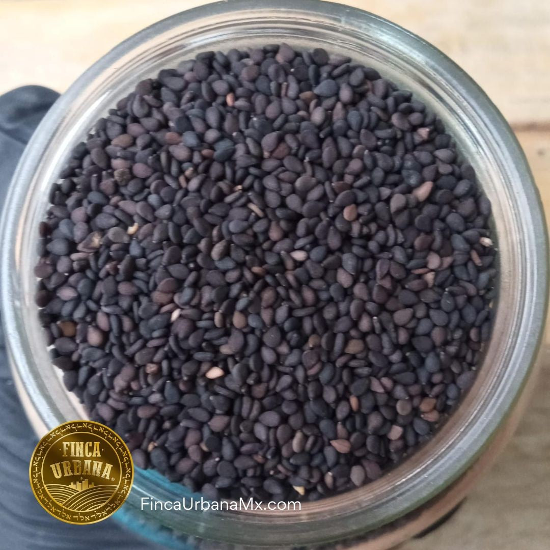 Ajonjolí Negro Orgánico, 100g Finca