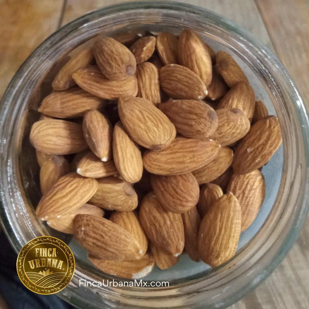 Almendra Entera con Cutícula Orgánica, 100g Finca
