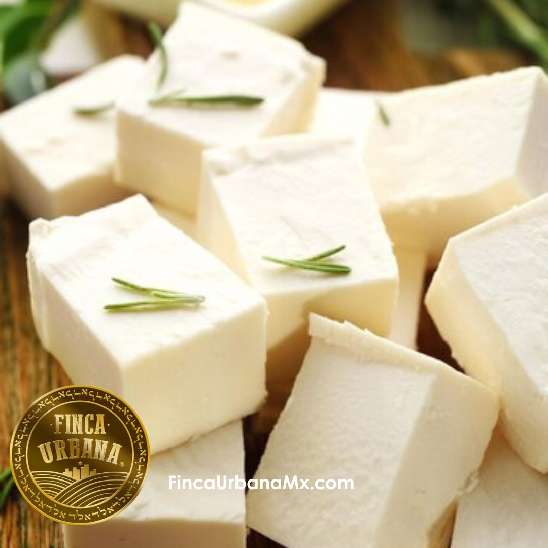 Queso feta de cabra orgánico (280g)