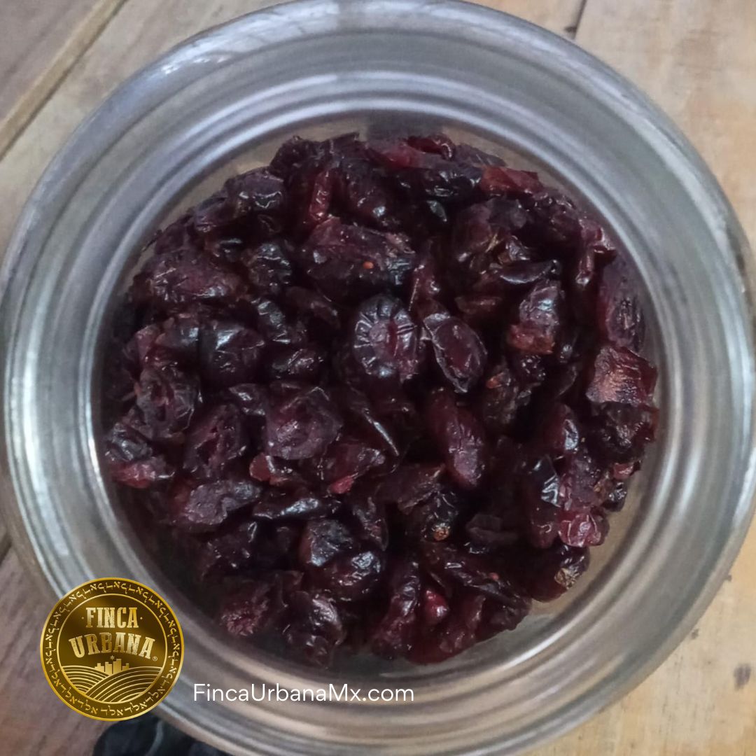 Arándano deshidratado sin Azúcar Orgánico, 100g Finca