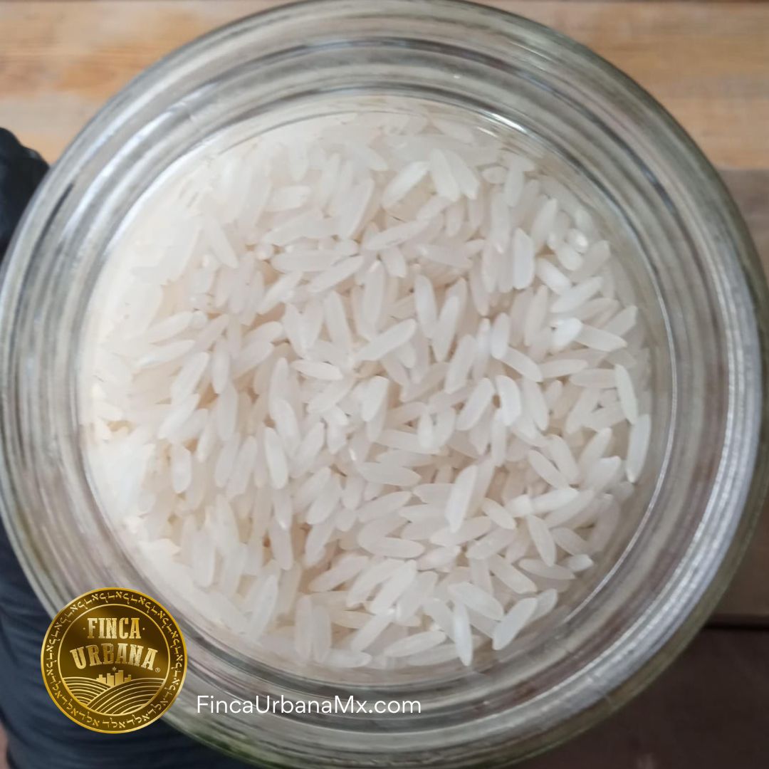 Arroz Basmati Orgánico, 200g Finca