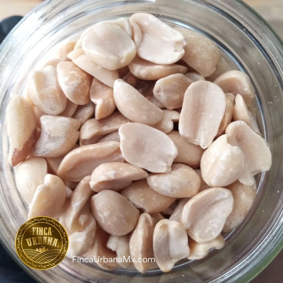 Cacahuate sin Cáscara Orgánico, 250g Finca