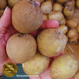 Chicozapote orgánico (250g)