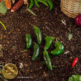 Chile jalapeño orgánico (100 g)