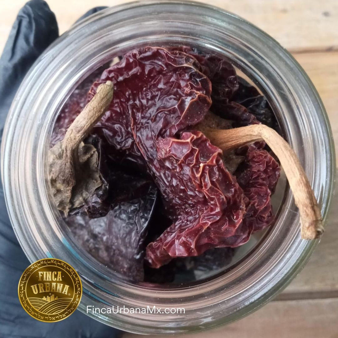 Chile Ancho Orgánico, 50g Finca