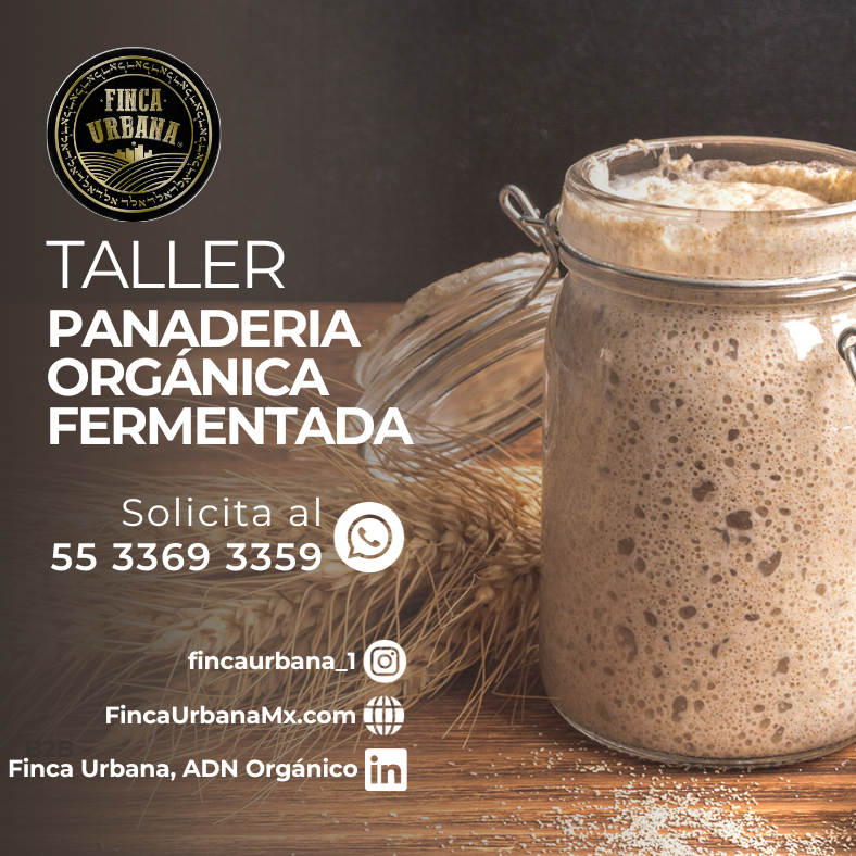 Taller Panadería Orgánica Long Fermented