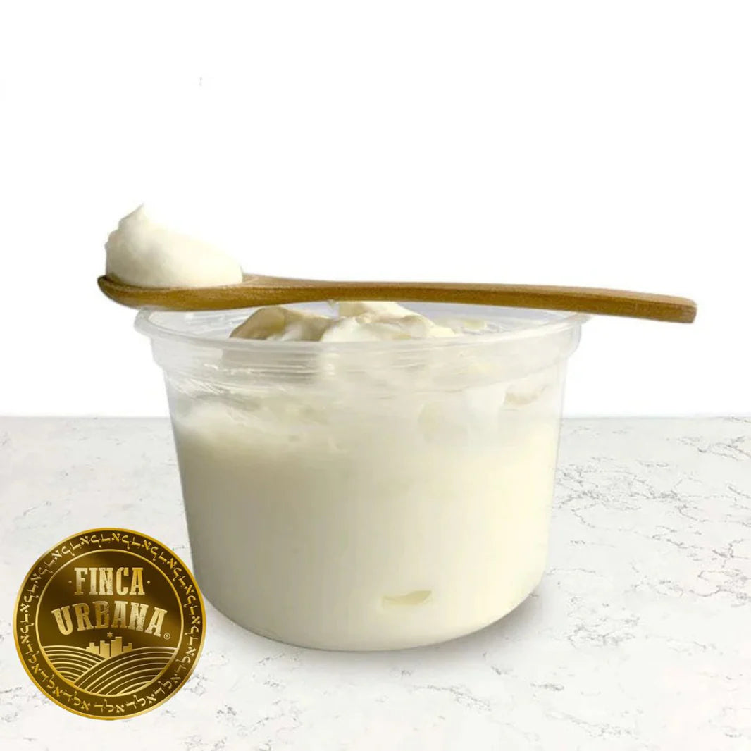 Yogurt griego de oveja orgánico A2A2 Villa de Patos (500ml)