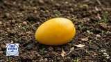 Mango Oro Orgánico, 1 pieza