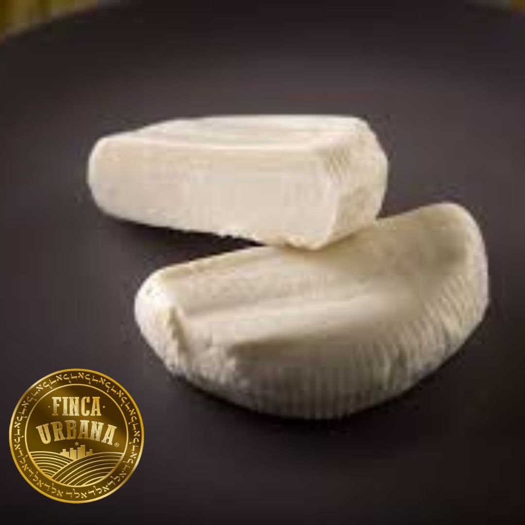 Queso panela de cabra orgánico (400 g)