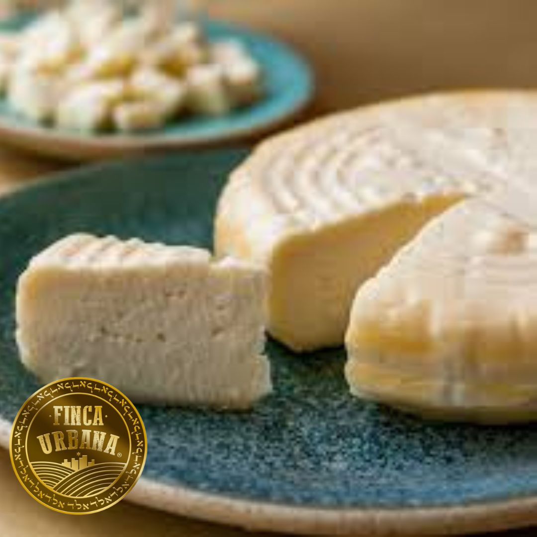 Queso panela de bufala orgánico (500 g)