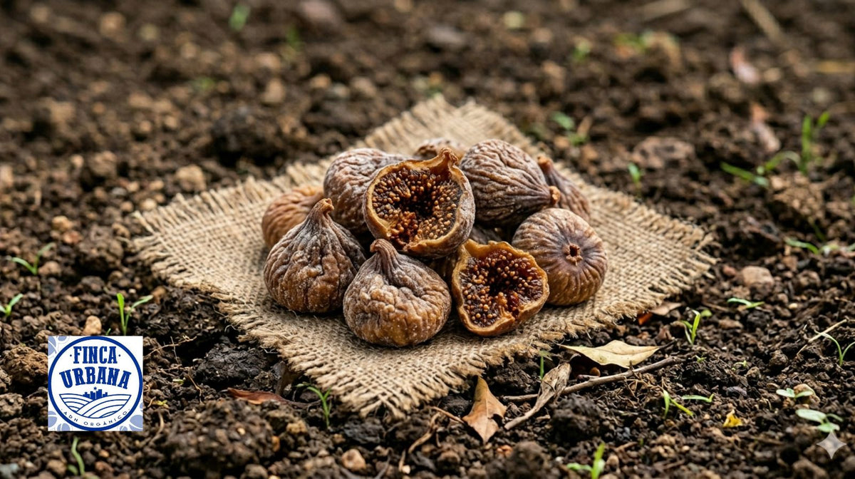Higo deshidratado Orgánico, 50g