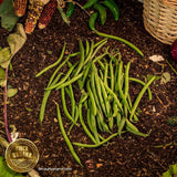 Ejote verde orgánico (200 g)