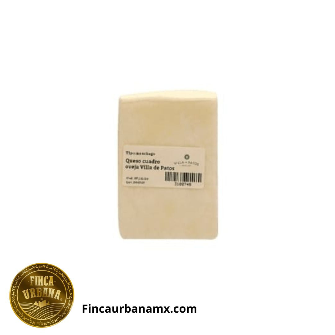 Queso manchego de oveja orgánico (550 g)