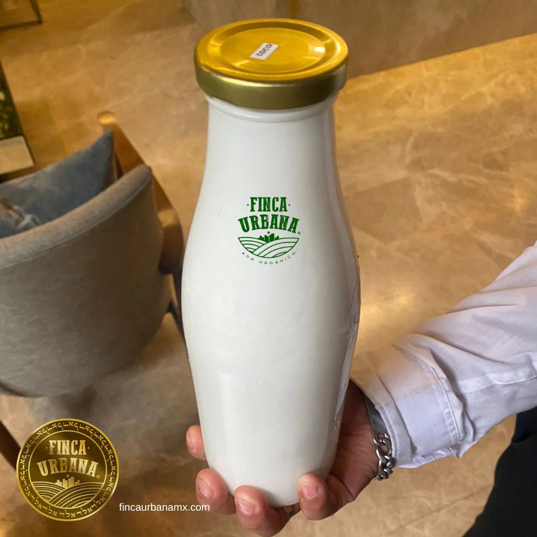 Leche de avellana, nuez de la India y arroz orgánica (1 L)