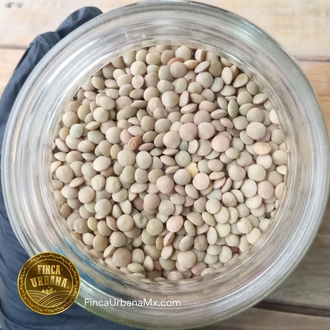 Lenteja Chica Orgánica, 250g Finca
