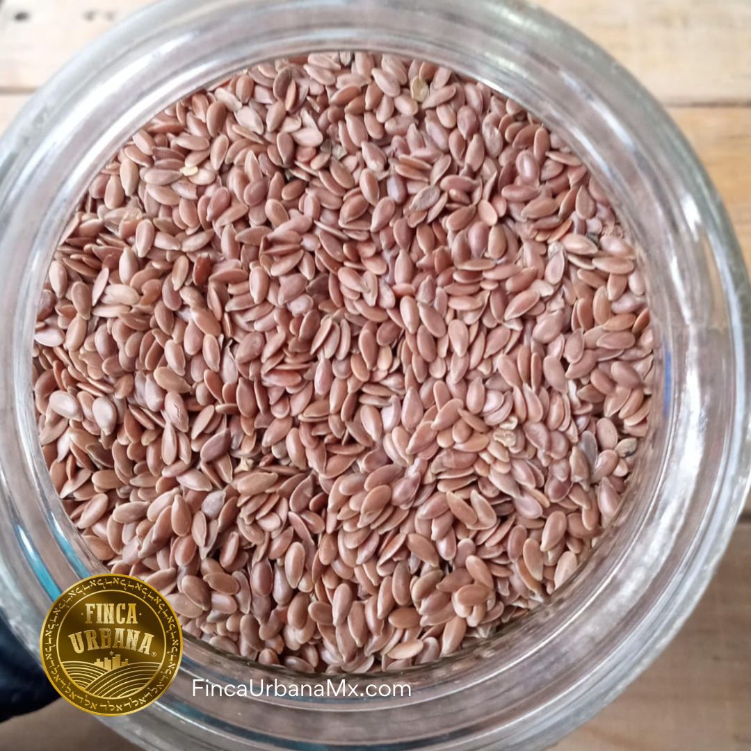 Linaza Entera Orgánica, 100g Finca