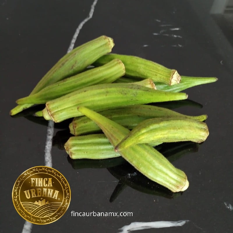 Okra orgánico (100 g)