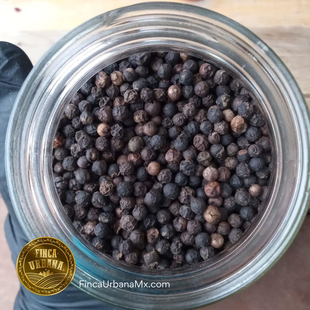 Pimienta Chica Entera Negra Orgánica, 100g Finca