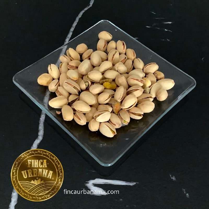 Pistache con cáscara orgánico (100 g)