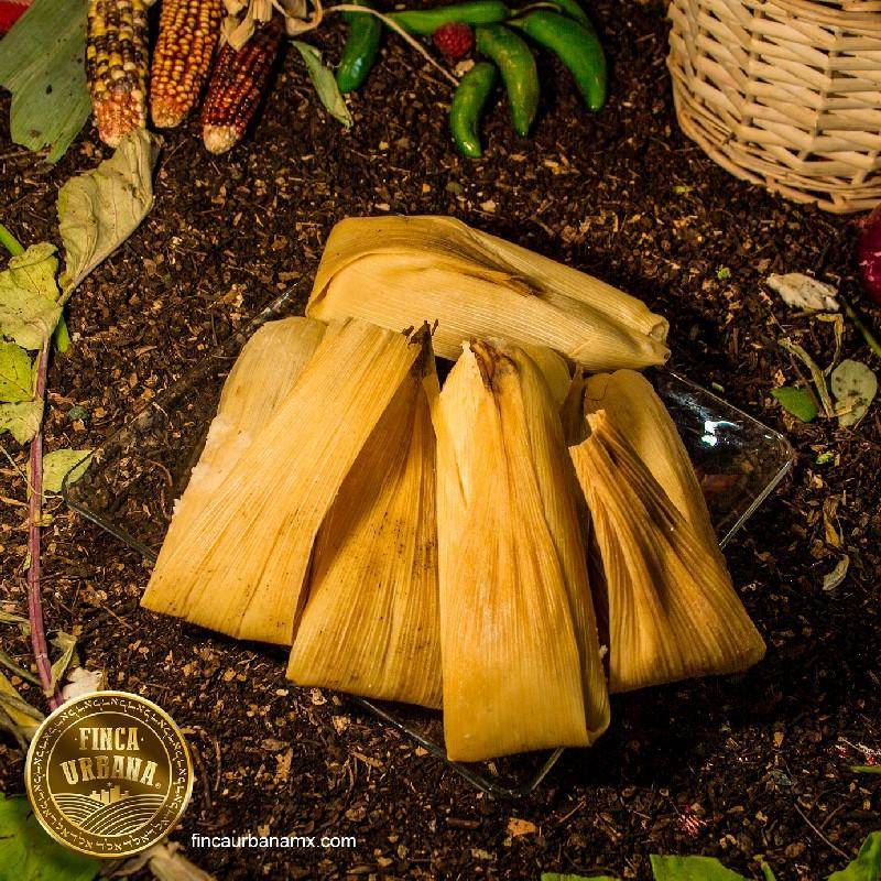 Tamal orgánico de acelgas (1 pza)