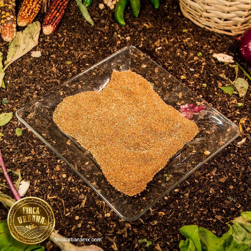 Teff semilla orgánico (100 g)